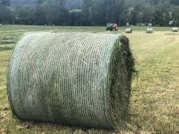Chất lượng cao nhựa Bale bọc <span class=keywords><strong>Net</strong></span> cho haystraw ủ chua hoặc các loại cây trồng khác - Product Image 3