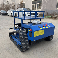 Penjualan Langsung Pabrik Mesin Pemotong Rumput Robot RC 500mm 20IN Murah, Bertenaga Bensin, Dapat Dikendalikan dari Jarak Jauh, Cocok untuk Lereng
