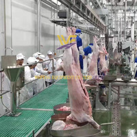 Opération facile 100 moutons par machine de traitement de mouton d'usine d'équipement d'abattage d'heure pour l'abattoir de chèvre