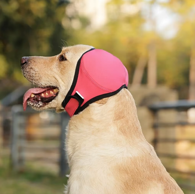 Dog Noise Cancelling Ear Muffs for Fireworks Thunder, Dog Ear Protection Headphones for Grooming, Anti-Chew Durable Pet Headset