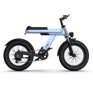 Newest EU Warehouse Private Tooling Unique Design Fat tire Bike 48V 15AH Electric Bike 750W Motor Very Good Suspension E-Bike