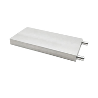 Bloc de refroidissement liquide en aluminium Wellentech 80*160*12mm, dissipateur thermique à montage en surface, garantie 12 mois pour CPU et semi-conducteurs