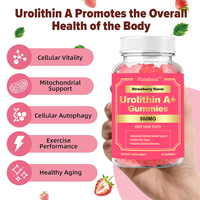 OEM Private Label Zuckerfreie Erdbeer-Gummibärchen mit Urolithin A 500mg und Vitamin C für Gesundes Altern & Regeneration nach dem Training