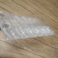 Pot de fleur en plastique PET transparent personnalisé à 6 cavités semis plantes vivantes bonsaï emballage blister à clapet