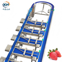 Multi-level gewichtsclassificatiemachine voor het sorteren van fruit en groenten, hoge efficiëntie, op maat gemaakt, 3-18 sorteerstanden