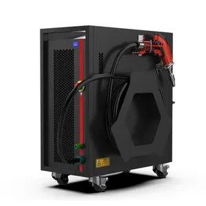 Einfach zu bedienende tragbare Luftkühlung 2000 W Laserreinigung und Reinigungsmaschine für effizientes Metallschweißen