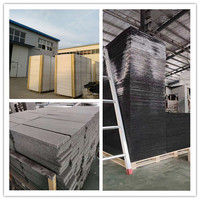 Feuille de diffuseur léger de noyau de nid d'abeilles de polycarbonate pour des applications intérieures et commerciales de panneau de mur