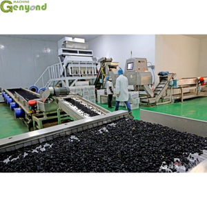 Genyond Raisin Clean Destemmer Destone gravità <span class=keywords><strong>separatore</strong></span> produzione linea di lavaggio - Product Image 5