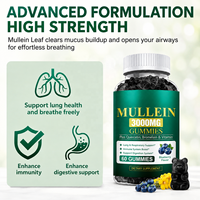 SWOOT Custom Mullein Gummies 3000mg Quercetin Bromelain Rasa Blueberry 200g (60 Buah) untuk Mendukung Kekebalan Tubuh dan Kesehatan Pencernaan