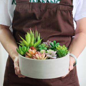 Pot bunga semen beton Dekorasi Rumah, mangkuk bentuk alami warna alami dengan piring - Product Image 5