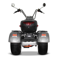 Yeni 3 Tekerlekli Elektrikli Scooter 2000w 60AH 12AH/20AH/2X20AH Bataryalı Açık Gövdeli Elektrikli Chopper Citycoco Hızlı 60km Menzilli