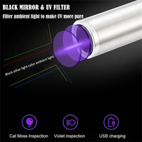 Mini lampe de poche en acier inoxydable, lampe de poche UV, torche, lumière ultra violette rechargeable par USB pour la détection des marqueurs