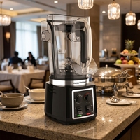 Blender à fruits avec logo personnalisé, mixeur électrique, machine à smoothies, faible bruit, 800W, capacité de 2L, multifonctionnel