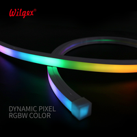 Bâtiment extérieur d'usine Smart LED Neon Light Strip 5m WS2811 Pixel RGB LED Programmable Rope Lighting ETL Certified Silicone