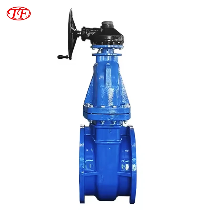 DN300-DN1200 затвора из чугуна TF, ручной силовой упругий, сидящий для водной среды BS5163 DIN F4 F5 PN10 PN16 Z45X-10Q/16Q