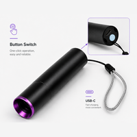 Senter Aluminium 3W Saku UV Ultraviolet 365nm dengan Filter ZWB2, Dapat Diisi Ulang USB-C, Tahan Air, Deteksi Tinta Tak Terlihat, Cahaya Hitam