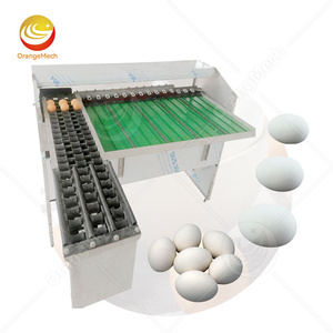 ORME Small Scale <b>Egg</b> Grading <b>Machine</b> Automatic Conveyor Grader <b>Egg</b> Sorter by Weight - Product Image 1