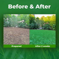 Growtrax biodégradable 50 pieds carrés rouleau de fixation rapide année tapis d'herbe verte pour pelouses chien patchs ombre juste pots de fleurs jardinières