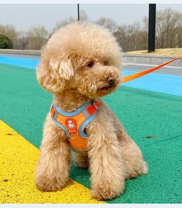 Arnés para Perro con Correa de Entrega Rápida, Arnés de Malla Suave Mejorado para Cachorros, para Paseos al Aire Libre - Product Image 3