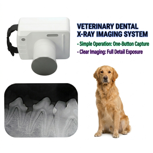 Equipo de rayos X dental <span class=keywords><strong>veterinario</strong></span> con sensor digital de baja radiación para perros, gatos y equinos - Product Image 1