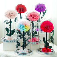 Nouveau Style Bleu Foncé Naturel Roses Préservées Dans La Couverture En Verre Dome Fleur Éternelle Roses Préservées ForValentine's Dav Gift