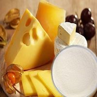 Enzyme présure/chymosine de qualité alimentaire YD-NP avec la meilleure qualité pour la fabrication de fromage en poudre/liquide