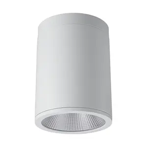 IP65 COB led 15W 20W 30W 40W 60W 80W 야외 표면 다이 캐스트 알루미늄 라운드 스포트 통