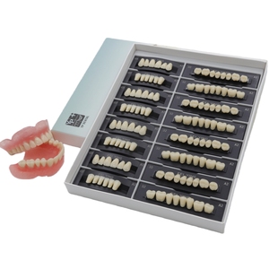 Prothèse <span class=keywords><strong>dentaire</strong></span> manuelle en résine acrylique <span class=keywords><strong>artificielle</strong></span>, dents antérieures et postérieures, incisives, molaires - Product Image 5