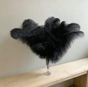 Plumes d'autruche épaisses de 45-50 cm, teintes, grandes plumes pour la décoration de fête, la décoration de la maison, les décorations de mariage et la décoration d'événements élégants - Product Image 2