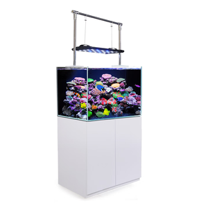 Hoogwaardig randloos zeeaquarium complete set zoutwater mini koraalrif <span class=keywords><strong>aquarium</strong></span> - Product Image 1