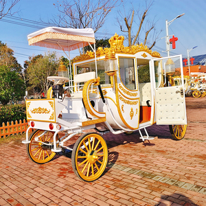 Carrozza a cavallo per matrimonio elegante carrozza per matrimonio indiano principessa Buggy per famiglie reali - Product Image 6