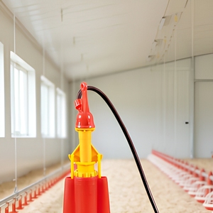 Bebedero Automático para Aves de Corral <span class=keywords><strong>YUB</strong></span> BAO DP03, Campana para Pollos y Gallinas, Fácil Instalación, Nuevo Diseño, Uso Agrícola - Product Image 4