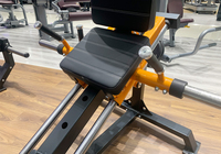 Machine professionnelle à charge de plaques pour presse à jambes debout, hack squat et soulevé de mollets, pour l'entraînement de force en salle de sport