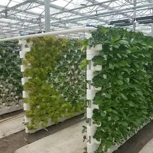 Полный набор микрозеленых светодиодных светильников для выращивания растений и комнатных вертикальных ферм NFT, автоматизированные гидро36/72/108 отверстий