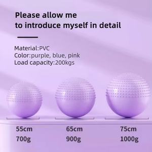 Palla da Yoga Anti-Scoppio Personalizzabile con Logo, Palla per Esercizi di Gravidanza e Allenamento di Integrazione Sensoriale per Donne Incinte e Bambini - Product Image 2