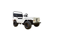 Mini UTV Willys 110cc à essence 2 roues motrices 4 temps automatique certifié CEE/EPA, modèle d'usine original, très populaire, pour enfants et adultes, avec 2 places