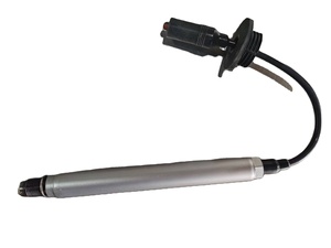 10000-95789 10000-16272 หัวเทียนสำหรับเครื่องยนต์แก๊สเอฟจี วิลสัน - Product Image 2