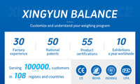 XINGYUN 0.0001g 0.1mg Résolution 100g Capacité Laboratoire Précis Microgramme Balance Balances