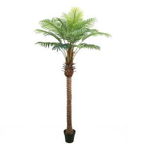 Plante artificielle <span class=keywords><strong>Phoenix</strong></span> Roebelenii de 150cm de haut avec <span class=keywords><strong>pot</strong></span> - Product Image 5
