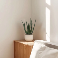CHUANGFA 34cm Künstliche Aloe Vera Pflanze Produkt Genre Künstliche Pflanzen & Grün