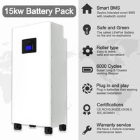 Batterie de système solaire domestique 48V 300Ah 280Ah stockage d'énergie alimentation à cycle profond Stationseplos mur d'alimentation au lithium 15kW batterie Lifepo4