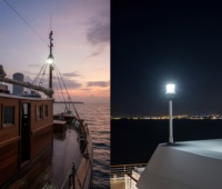 DAMAVO IP67 12-24V Masthead Light pour Marine 316 Acier Inoxydable pour Voilier Yacht Pêche Bateau Pont