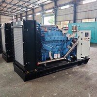 Générateur diesel silencieux à démarrage électrique PANDA 100KW 110KW 120KW 50HZ 60HZ 480V 24V DC