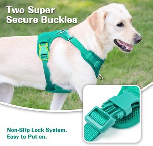 Harnais pour chien en néoprène réglable, ensemble harnais et laisse pour chien, harnais pour chien personnalisé - Product Image 6