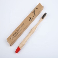 Brosse à dents en bambou naturel, 10 pièces avec étui en bois en bambou, brosse à dents 100% en charbon naturels pour enfants et adultes