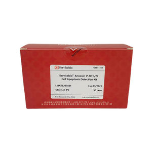 <span class=keywords><strong>Annexin</strong></span> <span class=keywords><strong>V</strong></span>-<span class=keywords><strong>FITC</strong></span> PI cep apoptoz algılama kiti floresan mikroskop için - Product Image 3