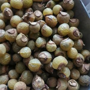 天然石鹸ナッツ中国卸売ラウンドサポニン洗浄ハンドフルーツソープベリー - Product Image 5