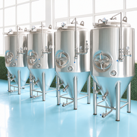 Tanks à bière Tonsen 3000L en acier inoxydable brillant, avec enveloppe chauffante (BBT) et pierre de carbonatation pour brasserie artisanale