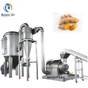 Price Ginger Turmeric Crushing Crusher Brightsail Garlic Ginger Grinding Dry Turmeric Powder Grinding Mill Machine