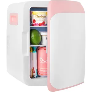 10l portable skincare fridge a small fridge for home